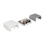 DeLOCK 86197 Toma de red de 2 puertos Cat.6A LSA Blanco