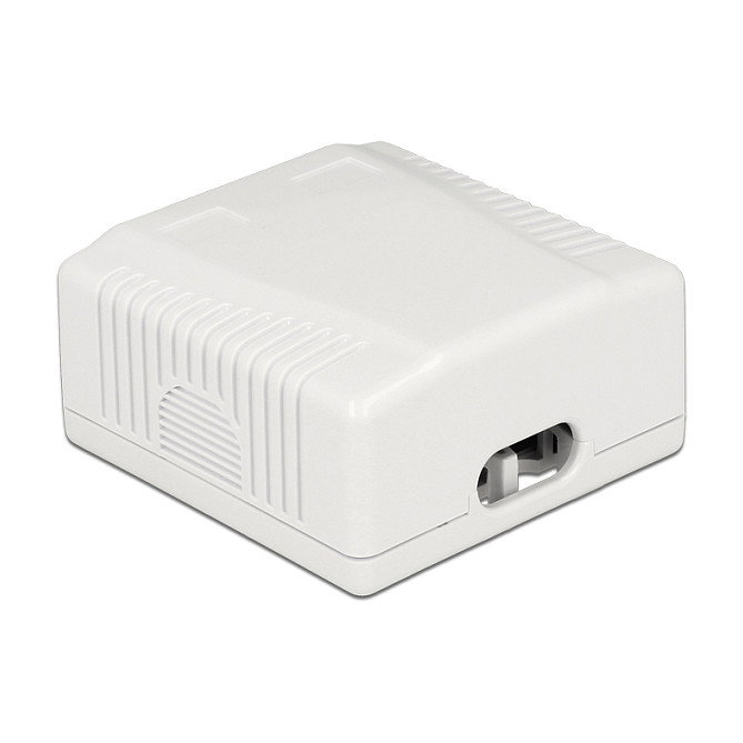 DeLOCK 86197 Toma de red de 2 puertos Cat.6A LSA Blanco