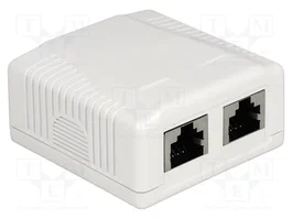 DeLOCK 86197 Toma de red de 2 puertos Cat.6A LSA Blanco