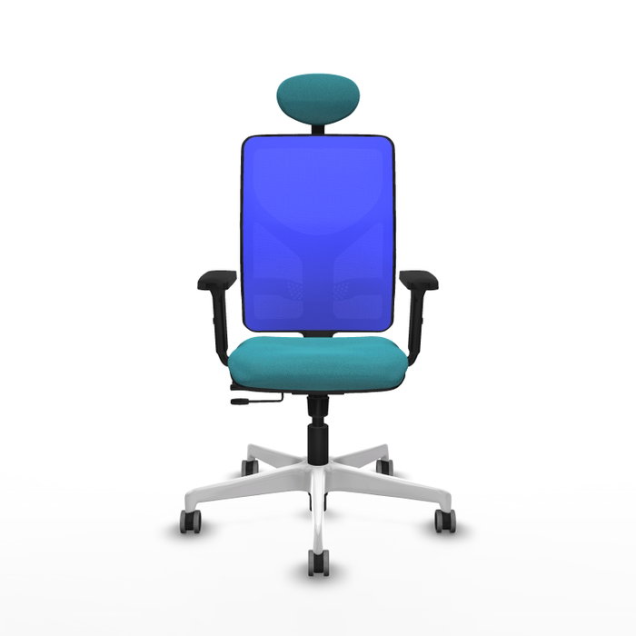 PIQUERAS Y CRESPO Silla de oficina Motilla con mecanismo Sincro/Traslack, Azul y Turquesa PIQUERAS Y CRESPO Silla de oficina Motilla con mecanismo Sincro/Traslack, Azul y Turquesa