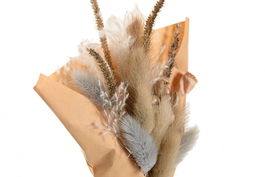 DKD Home Decor Ramo Beige Blanco Flor Seca 5 x 18 x 10 cm (6 Unidades)