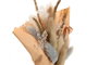 DKD Home Decor Ramo de Flores Secas Surtido Beige y Blanco