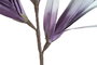 DKD Home Decor Ramas de EVA Surtido 2 Colores 45x45x122 cm