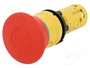 SCHNEIDER ELECTRIC Interruptor de emergencia Harmony XB7 rojo NC 22mm