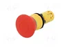 SCHNEIDER ELECTRIC Interruptor de emergencia Harmony XB7 rojo NC 22mm