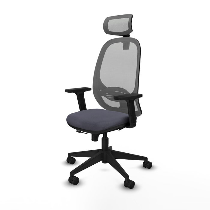 PIQUERAS Y CRESPO Silla de oficina Cilanco con mecanismo Sincro/Traslack, Gris PIQUERAS Y CRESPO Silla de oficina Cilanco con mecanismo Sincro/Traslack, Gris