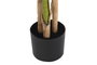 DKD Home Decor Palmera Verde de Poliéster PP 60x60x177 cm