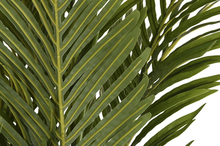 DKD Home Decor Palmera Verde de Poliéster PP 60x60x177 cm DKD Home Decor Palmera Verde de Poliéster PP 60x60x177 cm