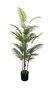 DKD Home Decor Palmera Verde de Poliéster PP 60x60x177 cm