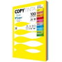 Sadipal Papel de Colores A4 80 g Paquete 100 Hojas Colores Surtidos Intensos