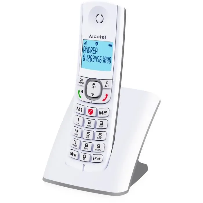 Alcatel F530 Solo Teléfono Inalámbrico sin contestador automático Gris