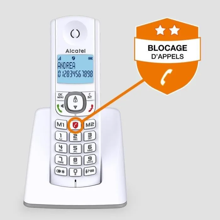 Alcatel F530 Solo Teléfono Inalámbrico sin contestador automático Gris