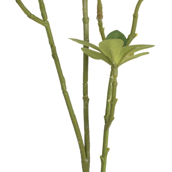 Flor Azalea Rosa Poliéster-Polietileno 92 cm (Set de 24)