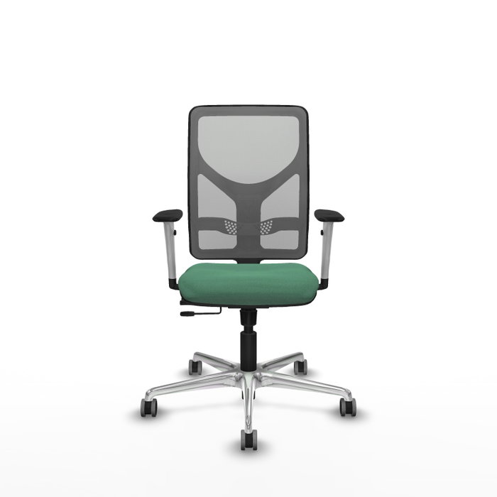 PIQUERAS Y CRESPO Silla de oficina Motilla con mecanismo Sincro/Traslack Verde esmeralda y Gris PIQUERAS Y CRESPO Silla de oficina Motilla con mecanismo Sincro/Traslack Verde esmeralda y Gris