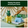LEGO Botanicals Plantas Felices 10349