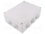 ELEKTRO-PLAST NASIELSK Caja de conexiones gris IP55