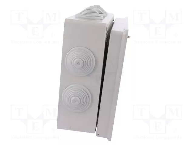 ELEKTRO-PLAST NASIELSK Caja de conexiones gris IP55