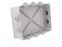 ELEKTRO-PLAST NASIELSK Caja de conexiones gris IP55