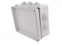 ELEKTRO-PLAST NASIELSK Caja de conexiones gris IP55