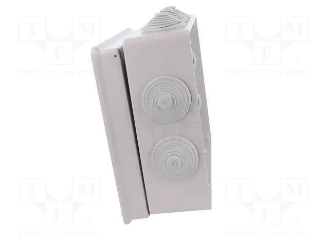 ELEKTRO-PLAST NASIELSK Caja de conexiones gris IP55