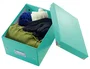 Leitz Click & Store Caja de Almacenamiento Universal Pequeña Turquesa 216x160x282 mm para Documentos A5