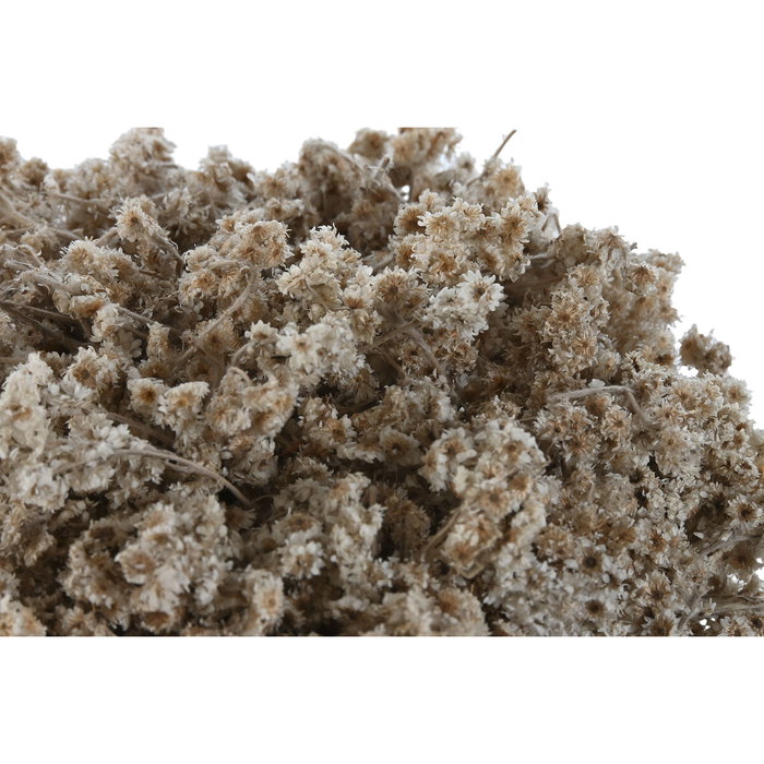 DKD Home Decor Surtido de 2 Plantas de Flor Seca (22x22x14 cm) Blanco, Marrón y Verde