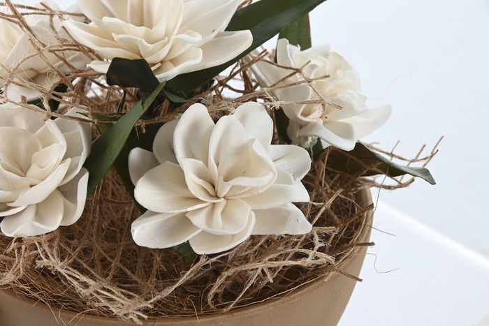 DKD Home Decor Planta Flor Seca Blanco Marron Verde 22 x 22 x 14 cm (2 Unidades)