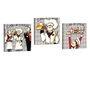 Wallity AHM041 Cuadro Decorativo de Cuero PU (3 Piezas) 33x33cm Blanco Negro Gris Rojo Verde