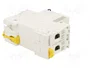 SCHNEIDER ELECTRIC Interruptor magnetotérmico iC60L 2 polos 6A