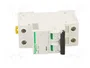 SCHNEIDER ELECTRIC Interruptor magnetotérmico iC60L 2 polos 6A