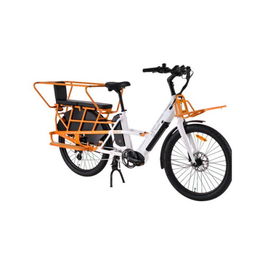 Youin E-BIKE CARGO YOUIN BERLI BK6100