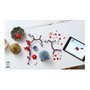 LEGO Botanicals Flor de Ciruelo 10369
