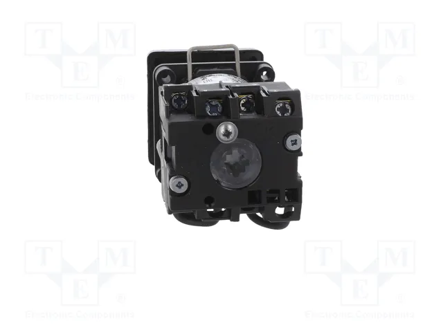 Schneider Electric Interruptor de Leva 12A 4 Posiciones Negro