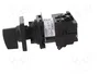 Schneider Electric Interruptor de Leva 12A 4 Posiciones Negro