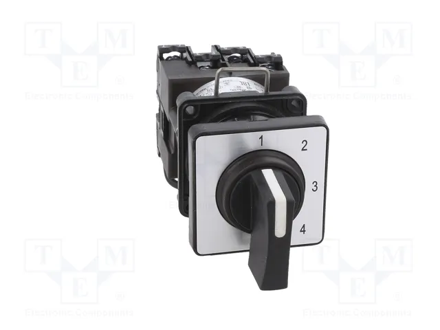 Schneider Electric Interruptor de Leva 12A 4 Posiciones Negro