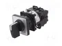 Schneider Electric Interruptor de Leva 12A 4 Posiciones Negro