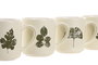 DKD Home Decor Taza Urban Verde Claro Porcelana New Bone 480ml Apto Microondas y Lavavajillas 12 Unidades 13 x 9 x 10.5 cm