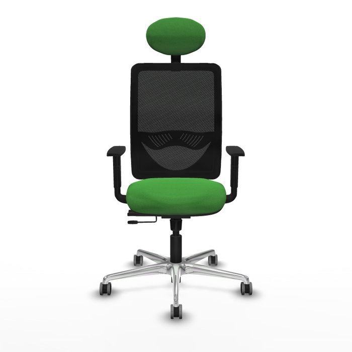 PIQUERAS Y CRESPO Silla de oficina Zulema con mecanismo Sincro/Traslack, Verde y Negro