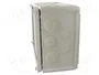 OBO BETTERMANN Caja de conexiones T 350 gris claro
