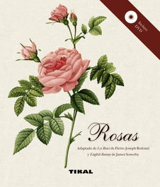 Rosas, Tikal, Equipo - TIKAL EDICIONES