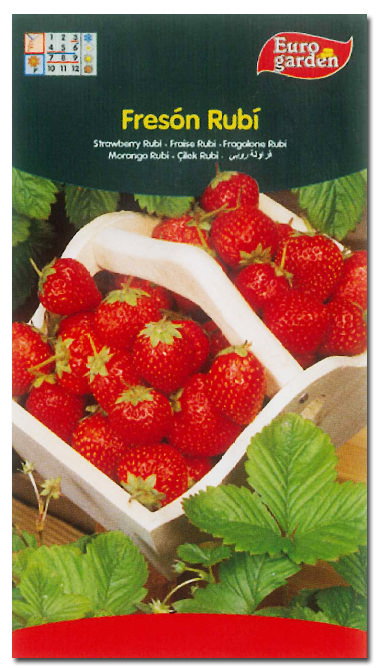 Fito Horticolas Semillas Freson Rubi Fito Horticolas Semillas Freson Rubi
