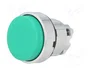 SCHNEIDER ELECTRIC Interruptor de presión Harmony XB4 verde 22mm