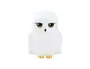 Paladone Lámpara 3D Harry Potter Hedwig
