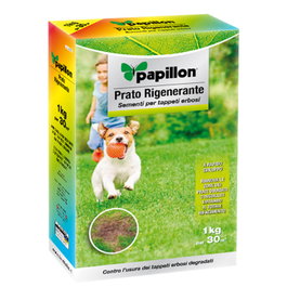 PAPILLON Semillas Césped Repoblador 1 Kg