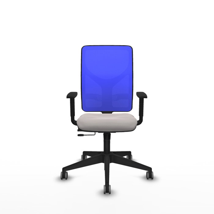 PIQUERAS Y CRESPO Silla de oficina Motilla con mecanismo Sincro/Traslack Blanco y Azul PIQUERAS Y CRESPO Silla de oficina Motilla con mecanismo Sincro/Traslack Blanco y Azul