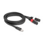 DeLOCK 88176 Cable de audio RJ45 macho a 2 x XLR de 3 pines hembra, 2 m