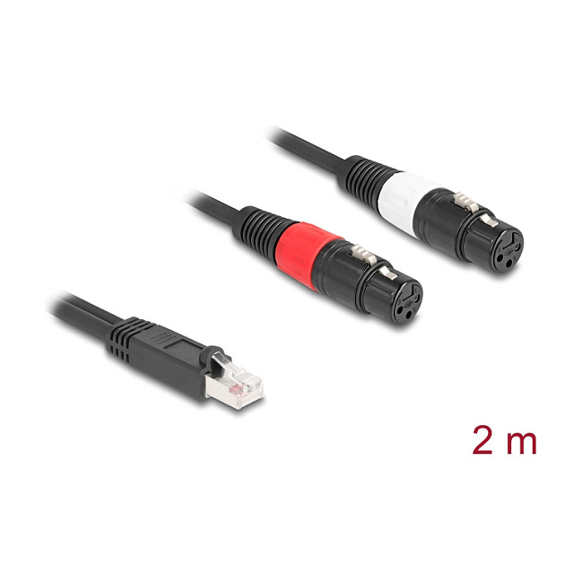DeLOCK 88176 Cable de audio RJ45 macho a 2 x XLR de 3 pines hembra, 2 m