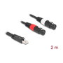 DeLOCK 88176 Cable de audio RJ45 macho a 2 x XLR de 3 pines hembra, 2 m