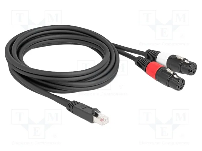 DeLOCK 88176 Cable de audio RJ45 macho a 2 x XLR 3 pin hembra negro 2 m