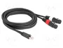 DeLOCK 88176 Cable de audio RJ45 macho a 2 x XLR 3 pin hembra negro 2 m